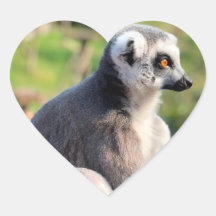 Amor Selvagem: Pela Austrália