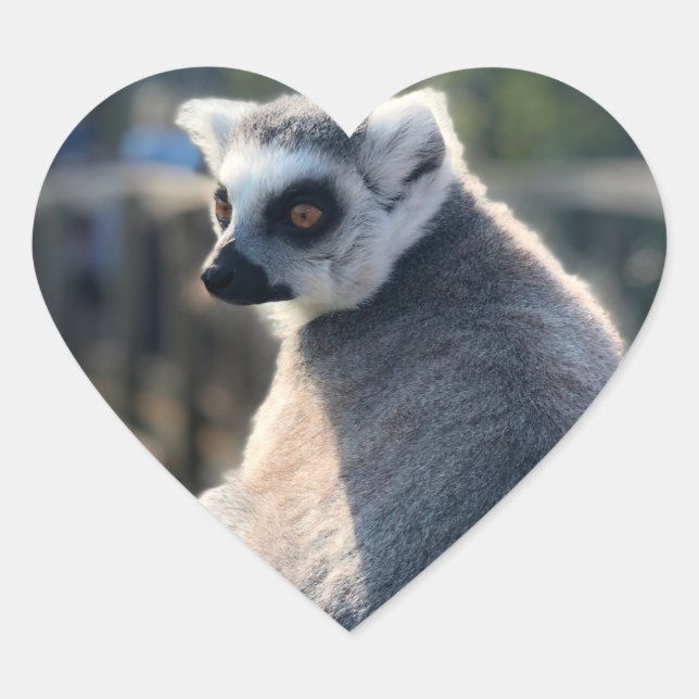 Adesivo Coração Amor Selvagem: Pela Austrália (Frente)