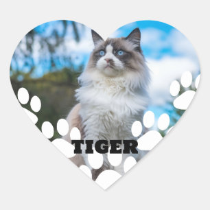 Adesivo Coração Autocolante de Foto de Cat Personalizado com Nome