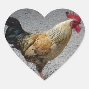 Adesivo Coração Autocolante do Coração Rooster