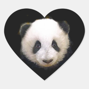 Adesivo Coração Baby Panda