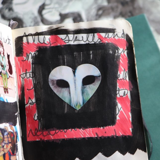 Adesivo Coração Barn Owl Art (Criador carregado)