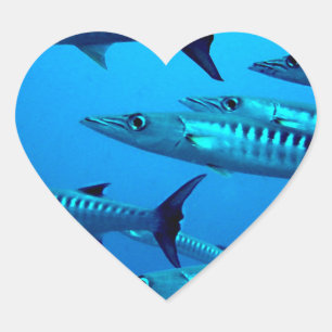 Adesivo Coração barracuda mergulho mar profundo água oceano tropic