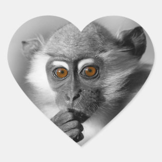Adesivo Coração Bebê Mangabey Mackey