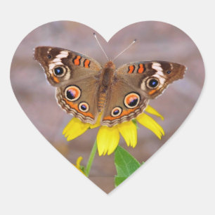 Adesivo Coração Bela borboleta na Flor Amarela