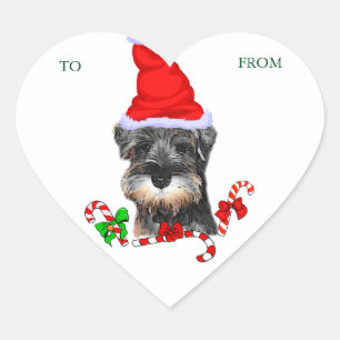 Adesivo Coração Belo Natal da Miniatura Schnauzer