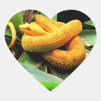 Adesivo Coração Belo Viper