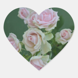 Adesivo Coração Belos rosas de jardim de rosas claro