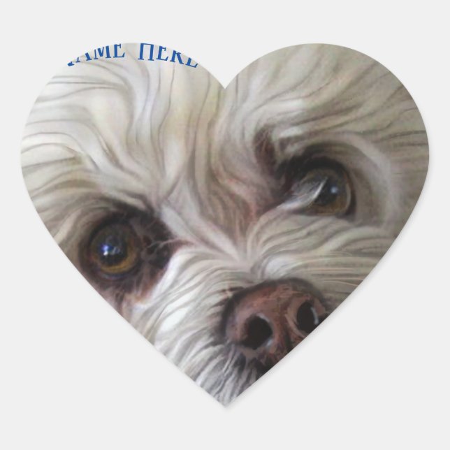 Adesivo Coração Bichon Poodle Maltês PeekaBoo Sticker (Frente)