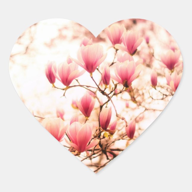 Adesivo Coração Blossomas de Cereja Bonitos - Central Park (Frente)