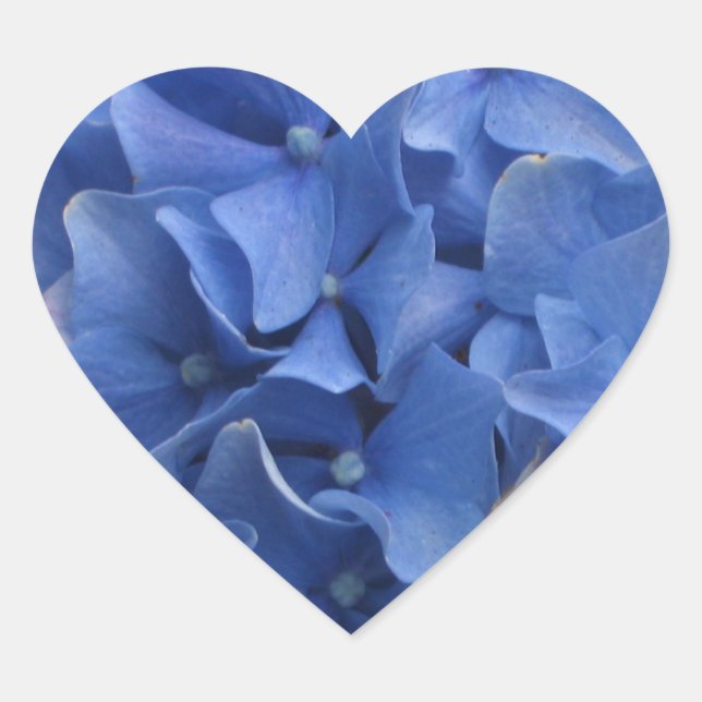 Adesivo Coração Blue Hydrangeas Heart Sticker (Frente)