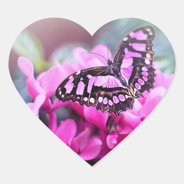 Adesivo Coração Bonita (Frente)