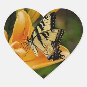 Adesivo Coração Borboleta