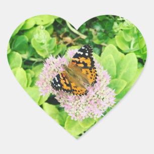Adesivo Coração Borboleta Monarca em Flores Stonecrop
