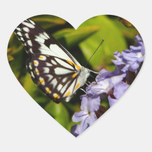 Adesivo Coração Borboleta no autocolante do coração de flores