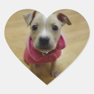 Adesivo Coração Botão de ouro