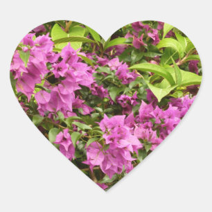 Adesivo Coração Bougainvillea Floral