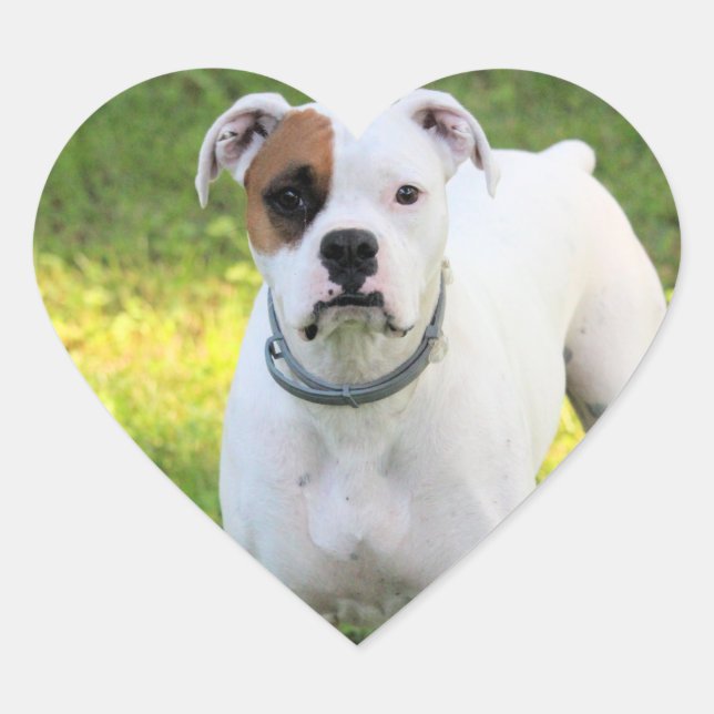 Adesivo Coração Boxer (Frente)