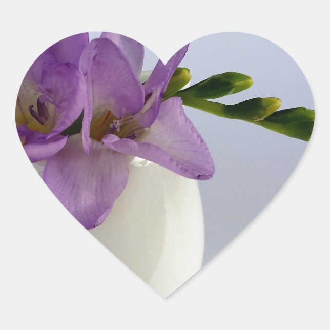 Adesivo Coração buchas de freesia púrpura (Frente)