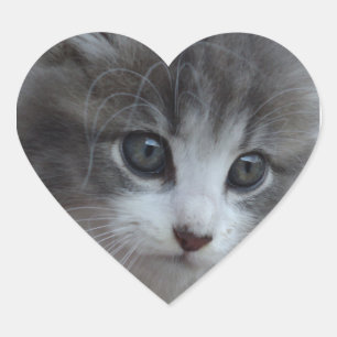 Adesivo Coração Burr Baby