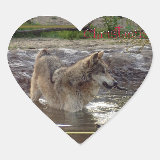 Adesivo Coração c-2011-cinza-lobo-005 (Frente)