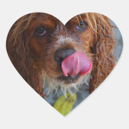 Adesivo Coração Cachorro Molhado com Banana