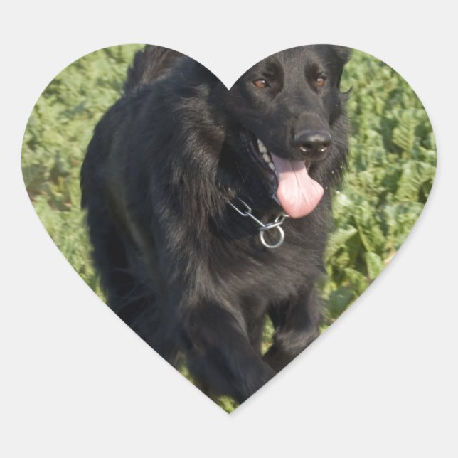 Adesivo Coração Cachorro Negro (Frente)