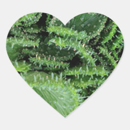 Adesivo Coração Cactus