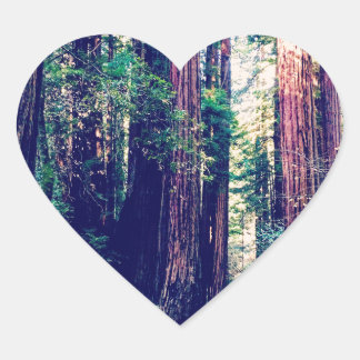 Adesivo Coração Califórnia Sequoias