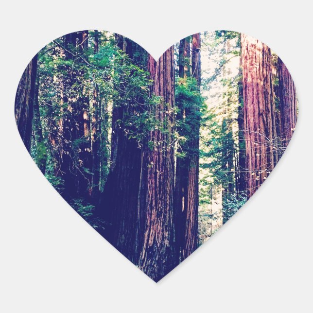 Adesivo Coração Califórnia Sequoias (Frente)