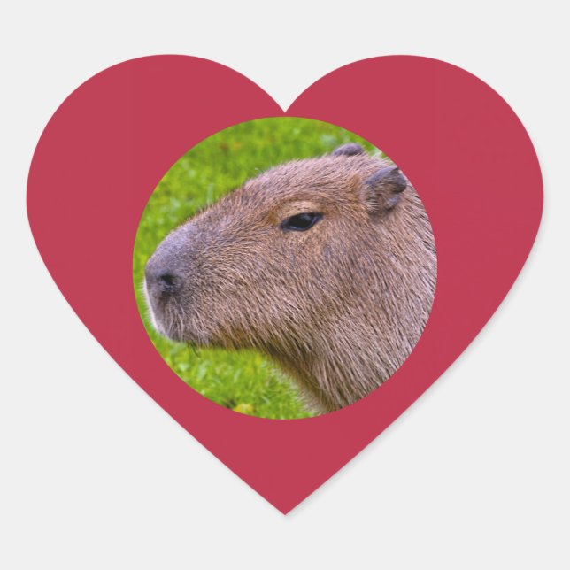 Adesivo Coração Capybara Sticker (Frente)