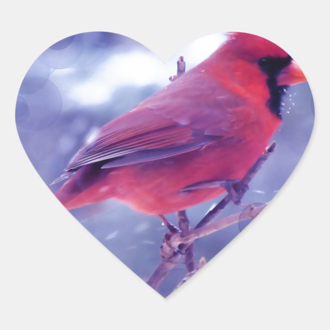 Adesivo Coração Cardeal Vermelho na Blizzard (Frente)