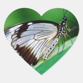 Adesivo Coração Castanho escuro e borboleta Cinza