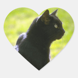 Adesivo Coração Cat Preto no Perfil
