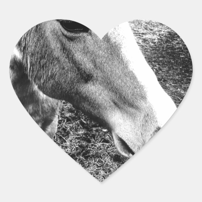 Adesivo Coração Cavalo (Frente)