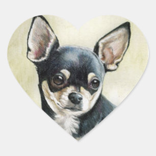 Adesivo Coração Chihuahua Heart Sticker