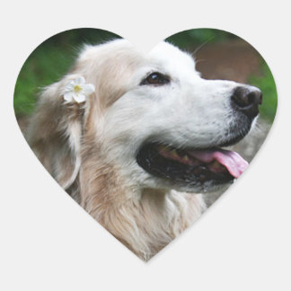 Adesivo Coração CHO Folha de autocolantes