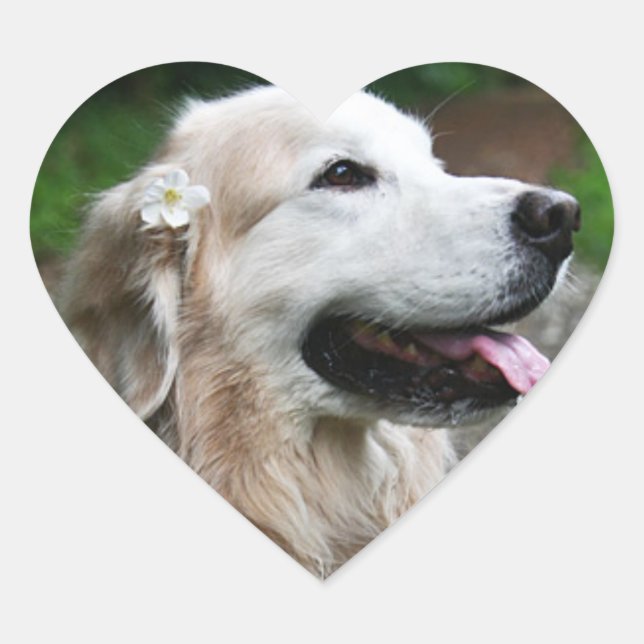 Adesivo Coração CHO Folha de autocolantes (Frente)