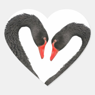 Adesivo Coração Cisnes negras