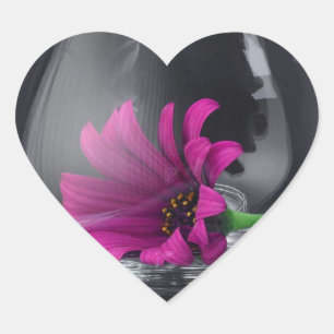 Adesivo Coração Close up cor-de-rosa da margarida em um vidro de