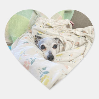 Adesivo Coração colante cardíaco aconchegante