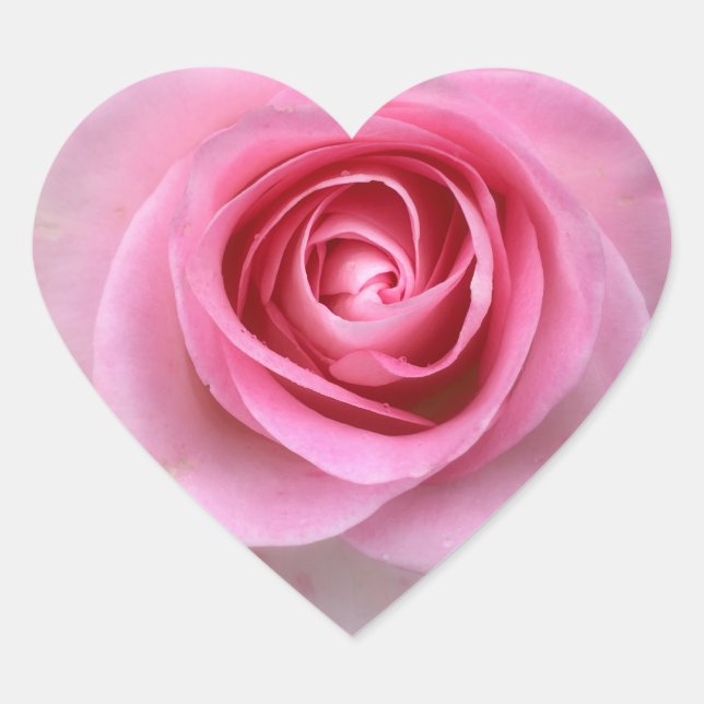 Adesivo Coração Colas de Coração Rosa Rosa Rosa Rosa Rosa Rosa Ros (Frente)