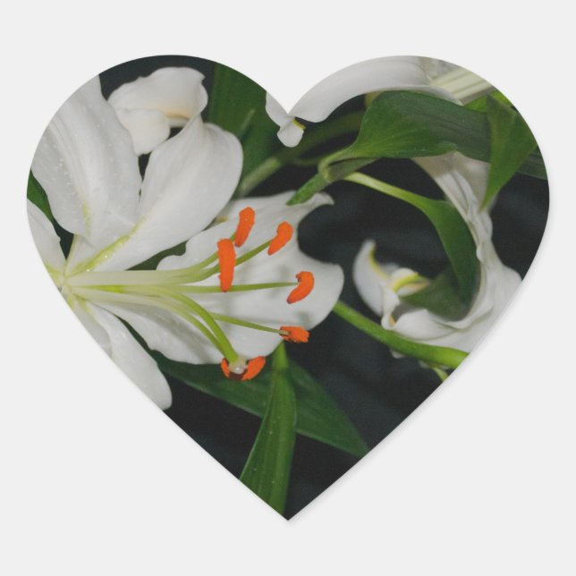 Adesivo Coração Coleção de Design e Flores irlandesas (Frente)