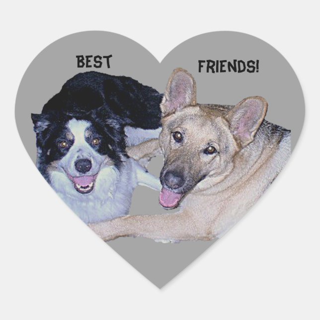 Adesivo Coração Collie & German shepherd da borda dos melhores ami (Frente)
