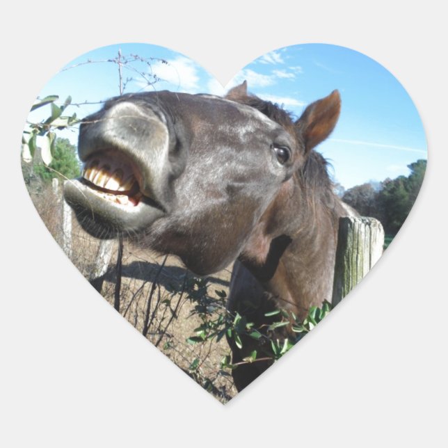 Adesivo Coração Conversando Cavalo Marrom (Frente)