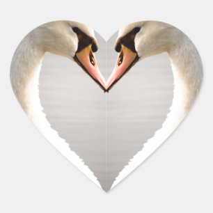 Adesivo Coração Coração branco da cisne