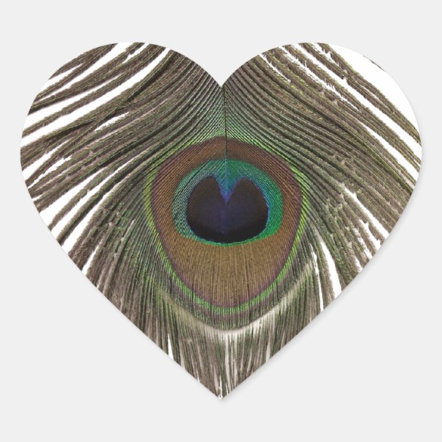 Adesivo Coração Coração da pena de Peacock (Frente)