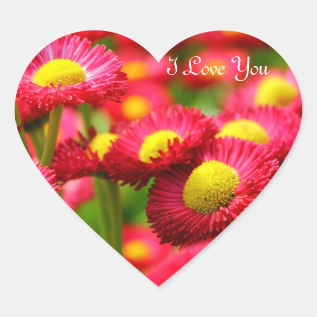 Adesivo Coração Coração Eu Te Amo (Frente)