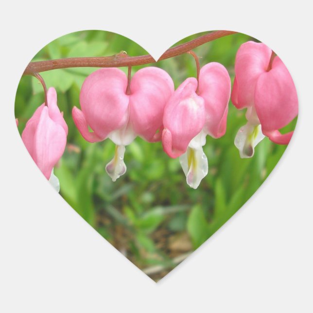 Adesivo Coração "Corações Delicioso!" (Frente)