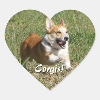 Adesivo Coração Corgi Stickers em Execução